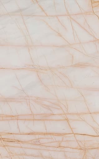 Golden Spider - White Marble Marble from Kishangarh