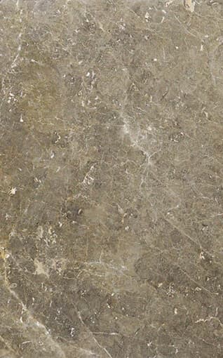 San Lorenzo - Grey Marble Marble from Kishangarh
