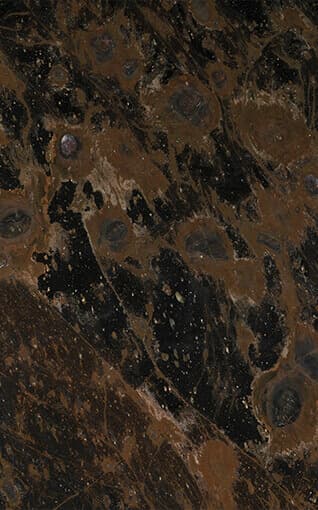 Astrus - Brown Granite Granite from Kishangarh