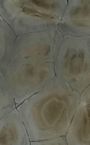 Tartaruga - Green Granite Granite from Kishangarh