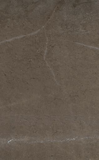 Grigio Celina - Grey Marble Marble from Kishangarh